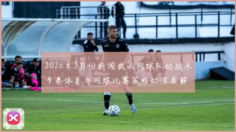 2026年3月份新闻武汉网球队的战术节奏体系与网球比赛策略的深度解析